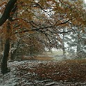 Raichberg 2007 Bild 22